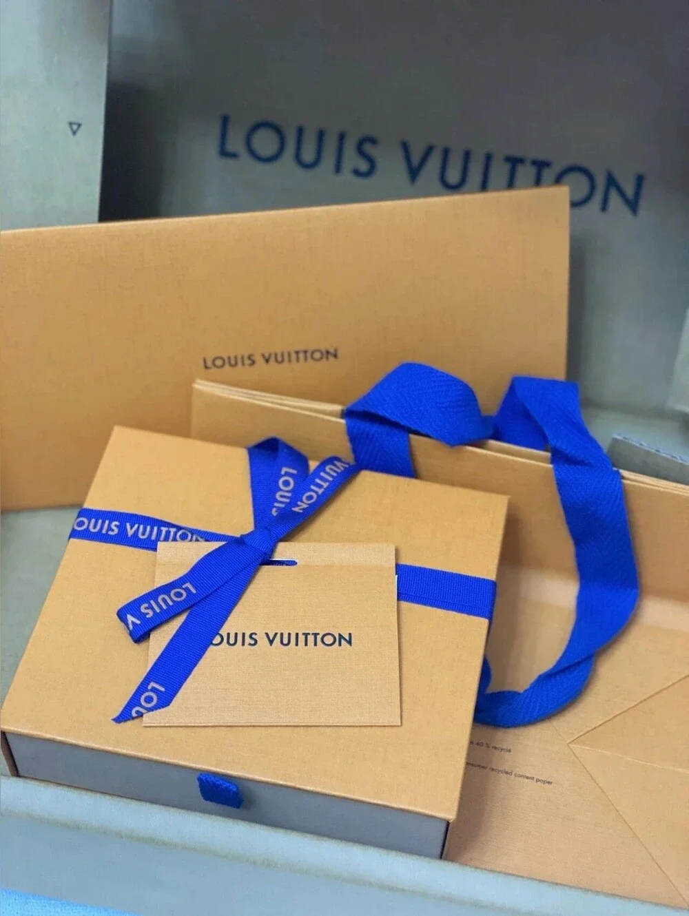 Louis Vuitton Multiple Wallet